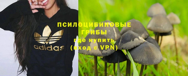 ешки Богородицк