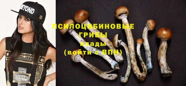 гидропоника Богданович