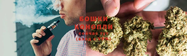 гидропоника Богданович