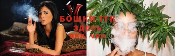 гидропоника Богданович